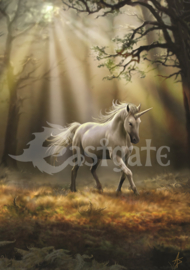 Greeting Card + Envelope - Glimpse Of A Unicorn (AS)