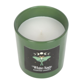 Scented Candle - Luna Moth White Sage