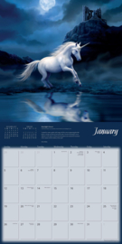 Kalender 2020 - Unicorns by Anne Stokes (AS)