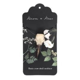 Ketting - Resin Crow Skull