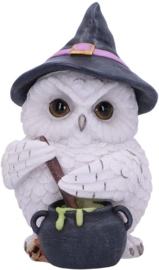 Beeld - Owl Potion 17.5cm