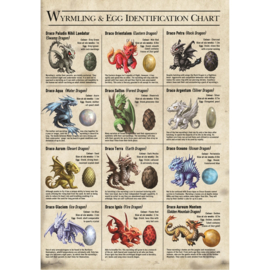 Greeting Card + Envelope - Dragon Wyrmlings & Egg Identification Chart (AS)