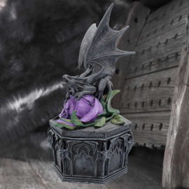 Trinket Box - Dragon Beauty 25cm (AS)