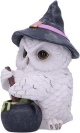 Beeld - Owl Potion 17.5cm