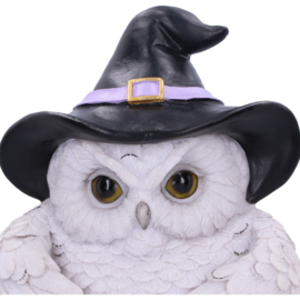 Deurklopper - Snowy Magic 21cm