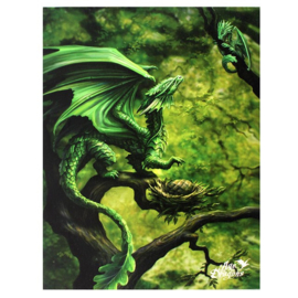 Canvas - Forest Dragon (AS)