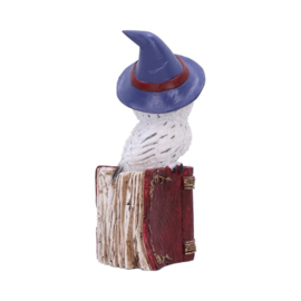 Beeld - Avian Spell (Red) 12.5cm