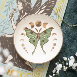 Trinket Dish - Moonphase Luna Moth