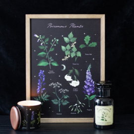 Frame - Poisonous Plants