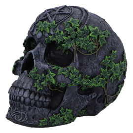Beeld - Aged Pentagram Skull 18.8cm (NN)