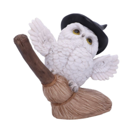 Figurine - Snowy Flight 13.5cm