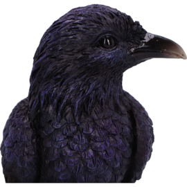 Backflowburner - Raven 17cm