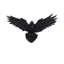 Wall Plaque - Flight of the Raven 35cm