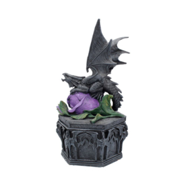 Trinket Box - Dragon Beauty 25cm (AS)