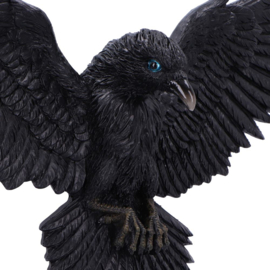 Wall Plaque - Flight of the Raven 35cm