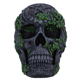 Beeld - Aged Pentagram Skull 18.8cm (NN)