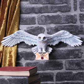 Wall Plaque - Harry Potter Hedwig 45cm (HP)