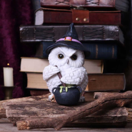 Beeld - Owl Potion 17.5cm