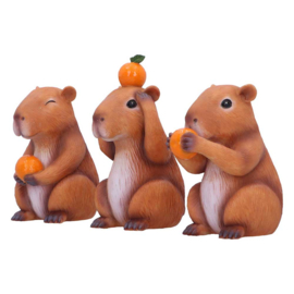 Beeld - Three Wise Capybaras 8.5cm (NN)
