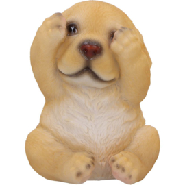 Figurine - Three Wise Golden Labradors 7.5cm (NN)