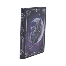Journal - Malpuss (NN)