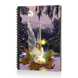 Spiraal Notitieboek 3D - Fairy Princess