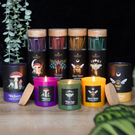 Scented Candle - Forest Mushroom Wildberry