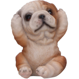 Figurine - Three Wise Bulldogs 7.5cm (NN)