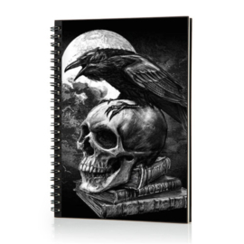 Spiraal Notitieboek 3D - The Poes Raven (AE)