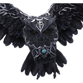 Wall Plaque - Dark Feather 55cm
