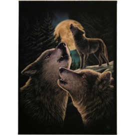 Canvas - Wolf Song Groot (LP)