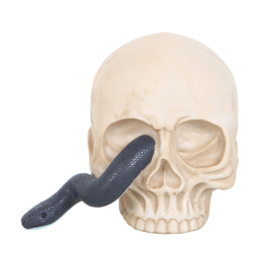 Beeld - Skull With Snake