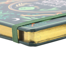 A5 Notebook - Green Witch