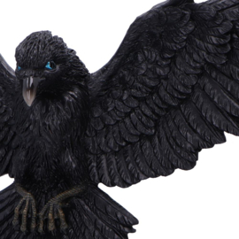 Wall Plaque - Flight of the Raven 35cm
