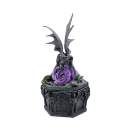 Trinket Box - Dragon Beauty 25cm (AS)