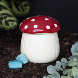 Oliebrander - Mushroom