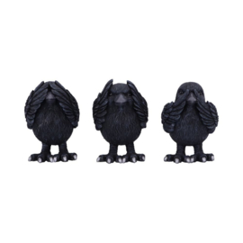 Beeld - Three Wise Ravens 8.7 (NN)