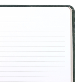 A5 Notitie Boek - Green Sleeping Fox