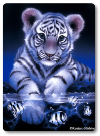Wenskaart 3D - White Tiger