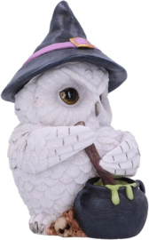 Beeld - Owl Potion 17.5cm