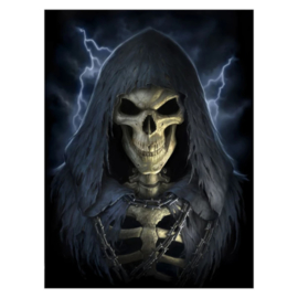 Lenticular Print - The Reaper (JR)