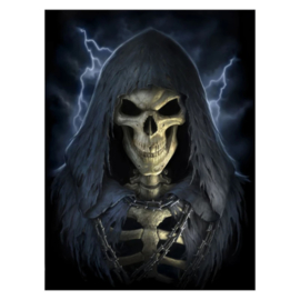 3D Plaat - The Reaper (JR)