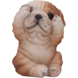 Figurine - Three Wise Bulldogs 7.5cm (NN)