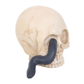 Figurine- Skull With Snake