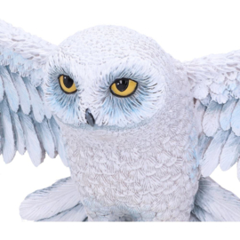 Wall Plaque - Harry Potter Hedwig 45cm (HP)