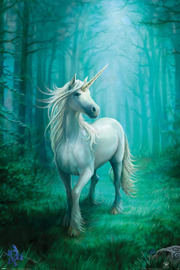 3D Plaat - Forest Unicorn (AS)