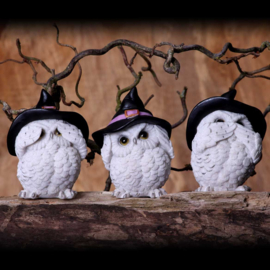 Beeld - Three Wise Feathered Familiars 9cm