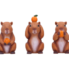Beeld - Three Wise Capybaras 8.5cm (NN)