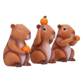 Beeld - Three Wise Capybaras 8.5cm (NN)