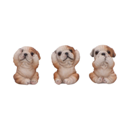 Figurine - Three Wise Bulldogs 7.5cm (NN)